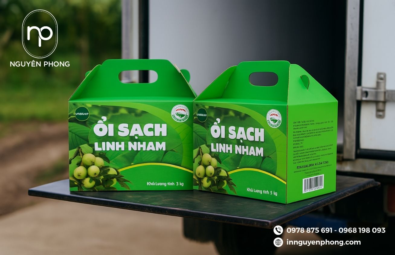 Mẫu thùng carton đựng ổi thiết kế quai cầm